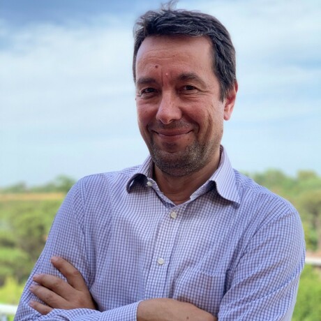 Image of Sergio Mucciarelli